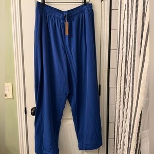 Skims Apparel Shop Pant Cobalt Blue Size XL